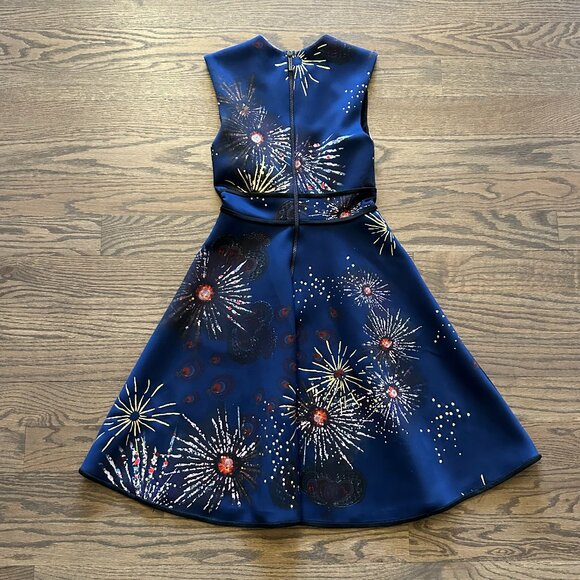 Cynthia Rowley Firework Dress - Picture 3 of 3
